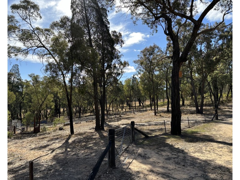 1830 Mount Hope Road, Coolah NSW 2843