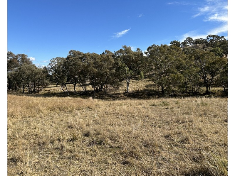 1830 Mount Hope Road, Coolah NSW 2843