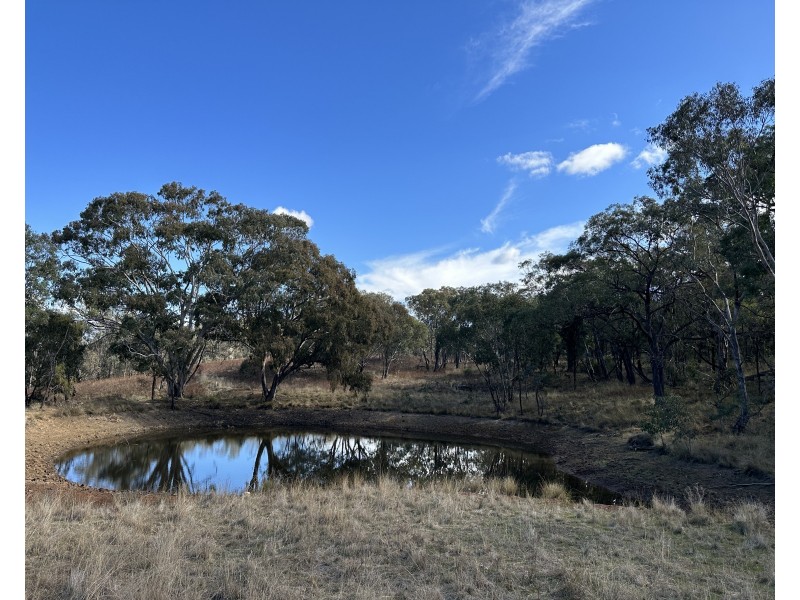 1830 Mount Hope Road, Coolah NSW 2843