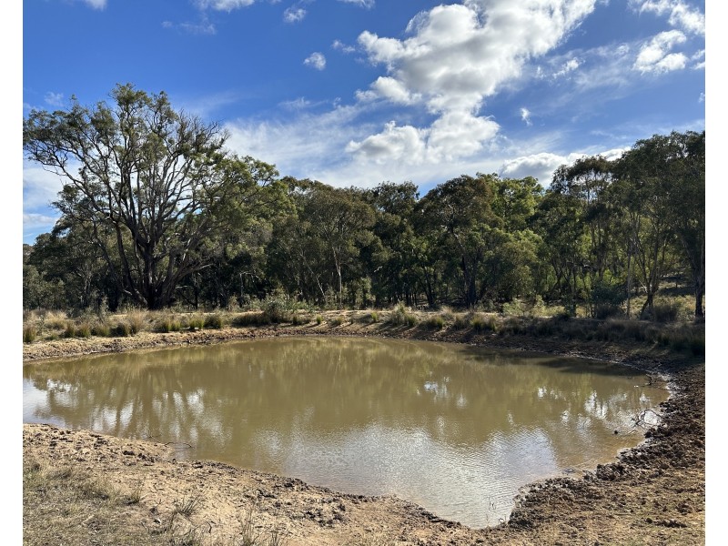 1830 Mount Hope Road, Coolah NSW 2843