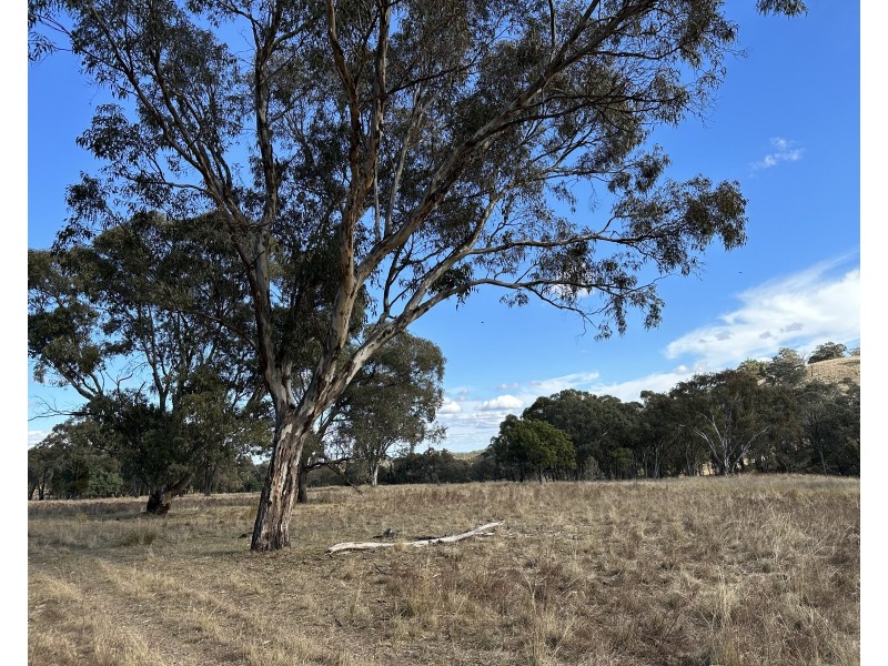 1830 Mount Hope Road, Coolah NSW 2843