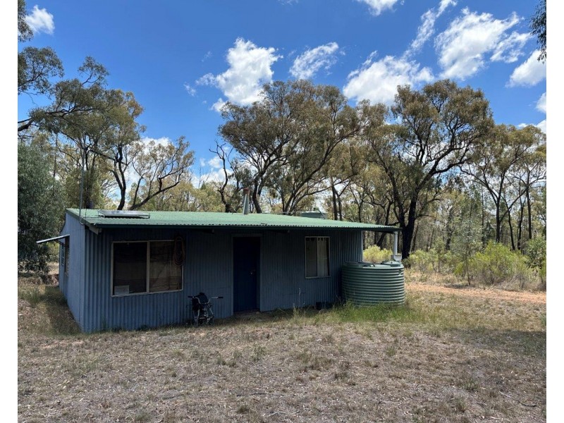 215 Werribee Road, Coolah NSW 2843