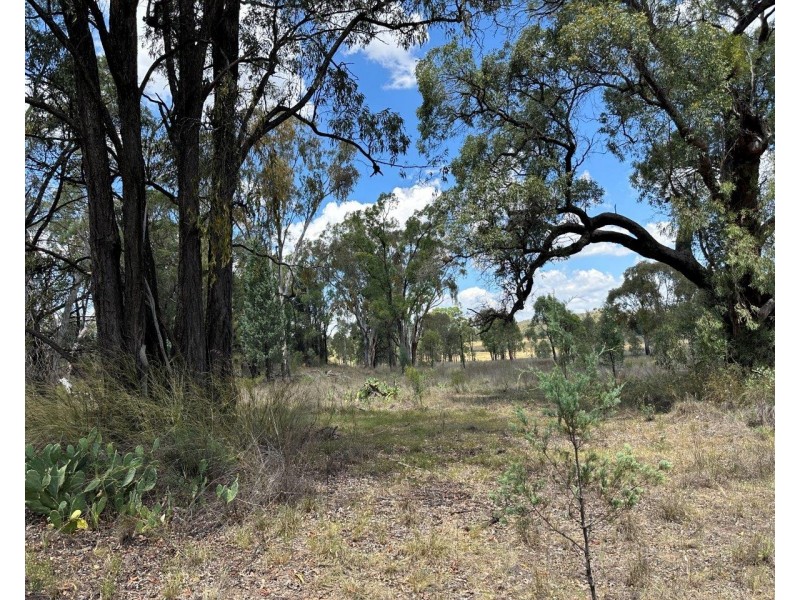 215 Werribee Road, Coolah NSW 2843