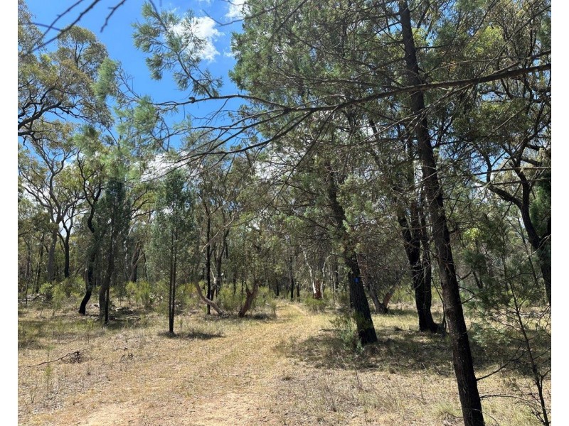 215 Werribee Road, Coolah NSW 2843