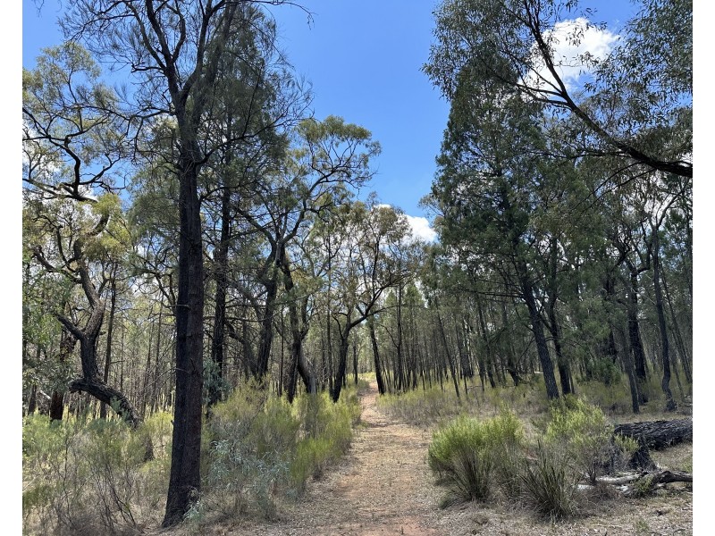 215 Werribee Road, Coolah NSW 2843