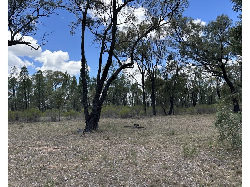 215 Werribee Road, Coolah NSW 2843