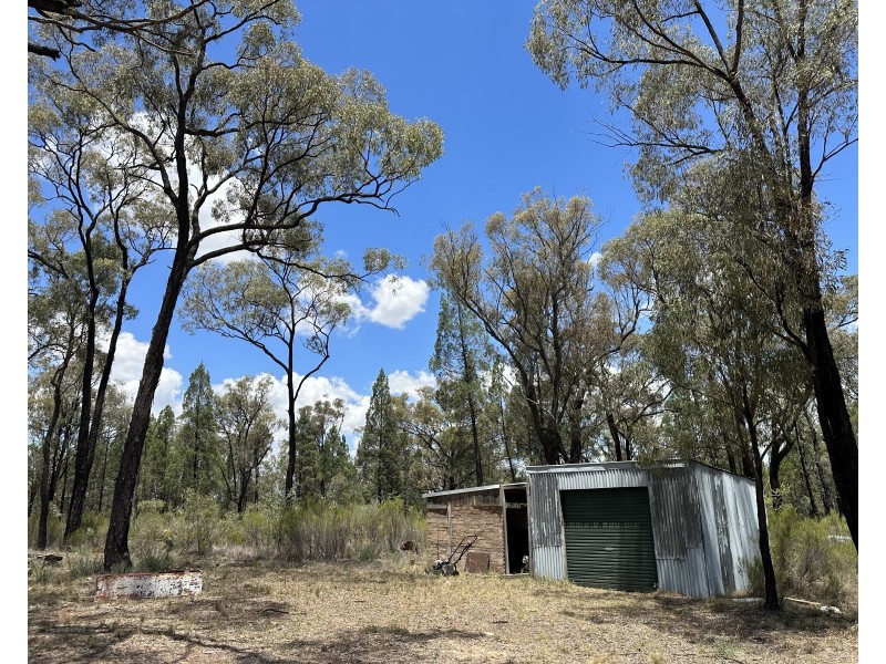 215 Werribee Road, Coolah NSW 2843