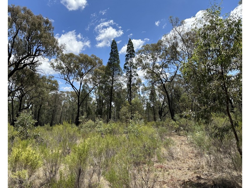 215 Werribee Road, Coolah NSW 2843