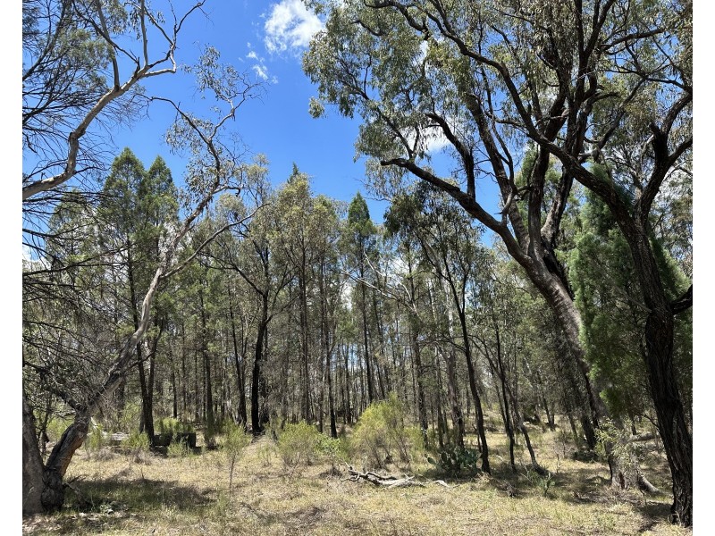 215 Werribee Road, Coolah NSW 2843