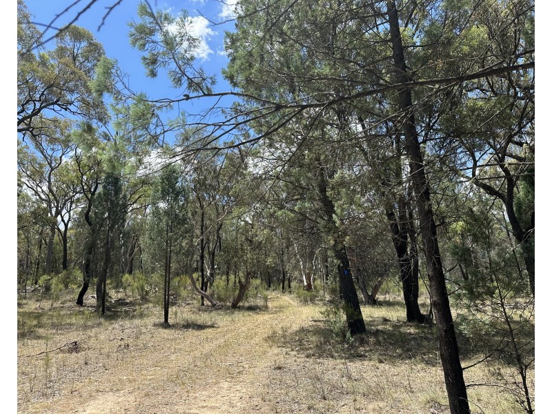 215 Werribee Road, Coolah NSW 2843