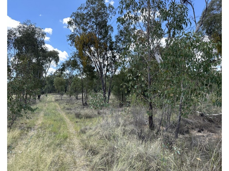 215 Werribee Road, Coolah NSW 2843