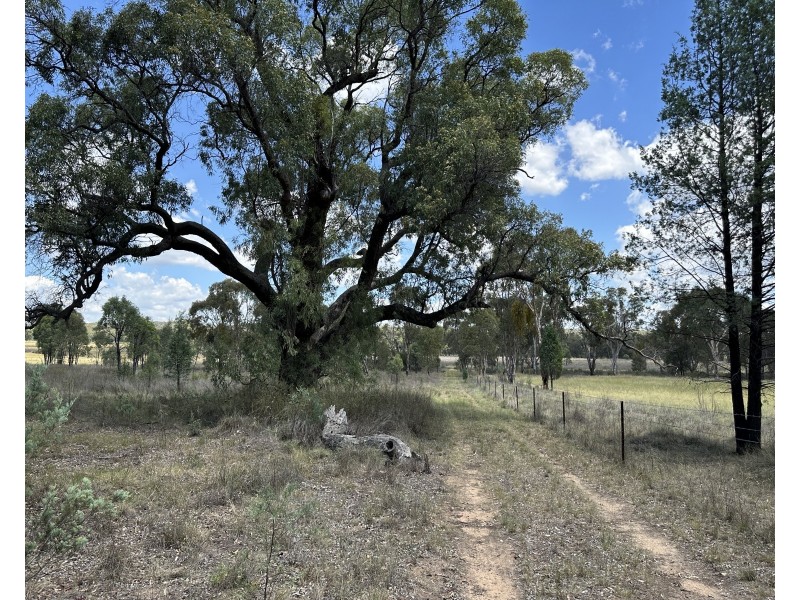 215 Werribee Road, Coolah NSW 2843