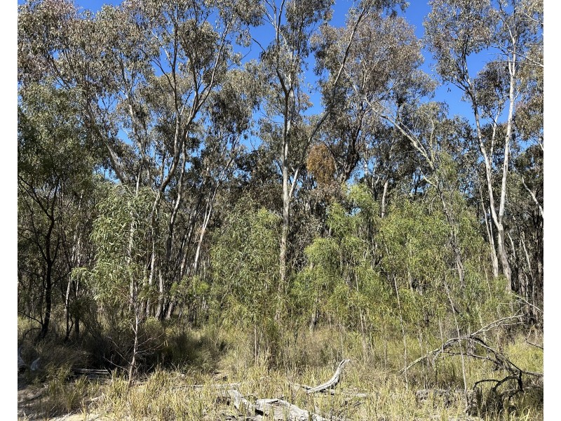 147 Tillie Willie Road, Coolah NSW 2843