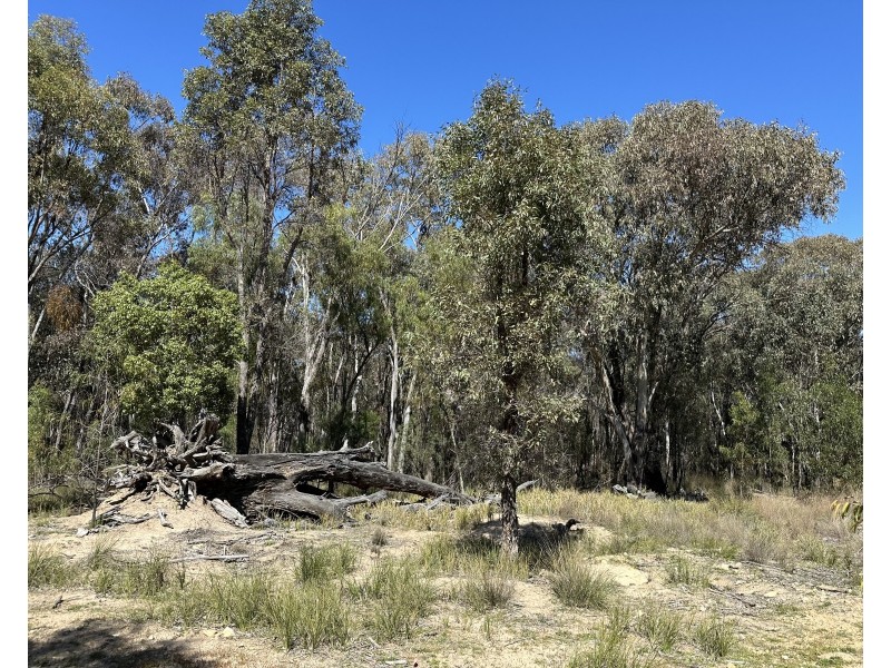 147 Tillie Willie Road, Coolah NSW 2843