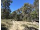 147 Tillie Willie Road, Coolah NSW 2843