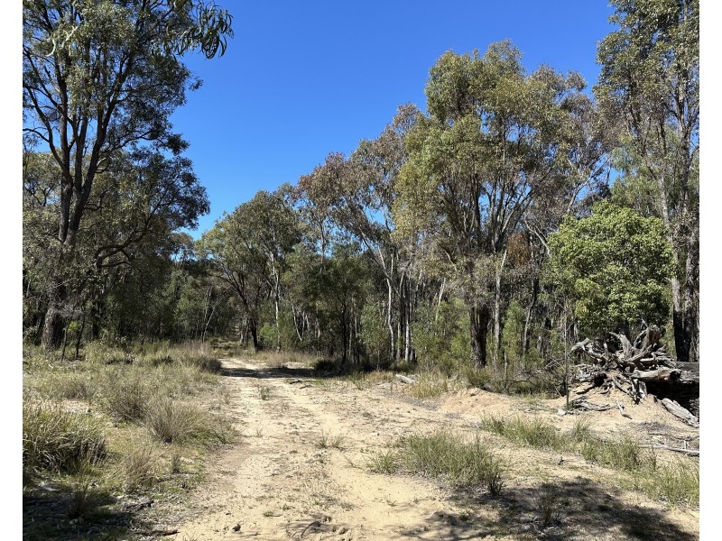 147 Tillie Willie Road, Coolah NSW 2843