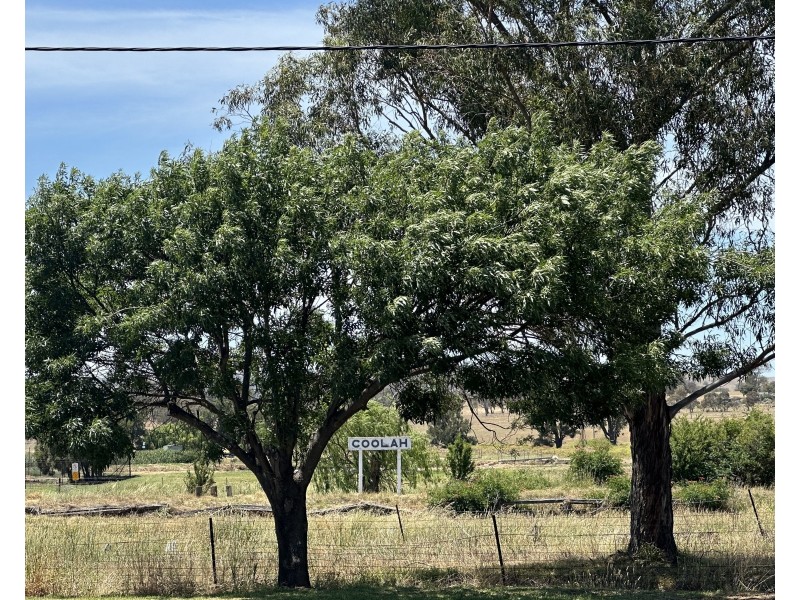 151 Binnia Street, Coolah NSW 2843
