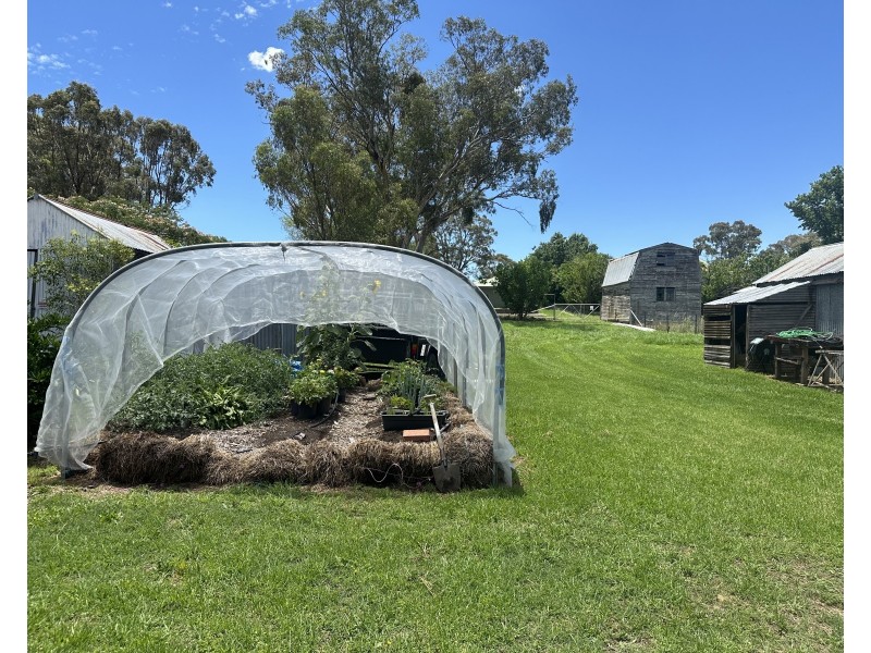 55 Martin Street, Coolah NSW 2843