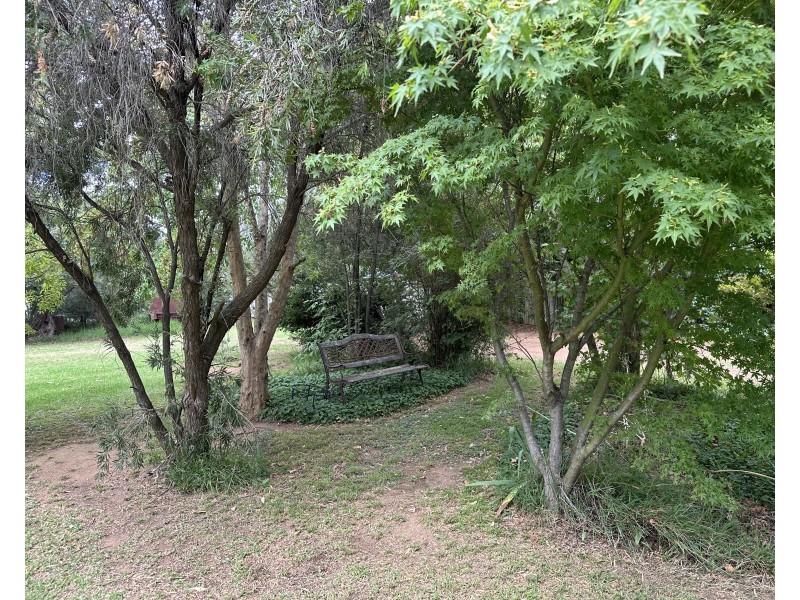 Cloudy Hill/82 Goddard Street, Coolah NSW 2843