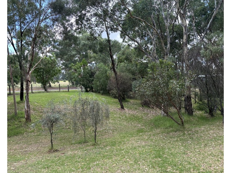Cloudy Hill/82 Goddard Street, Coolah NSW 2843