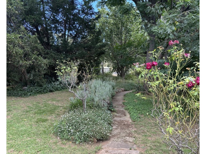 Cloudy Hill/82 Goddard Street, Coolah NSW 2843