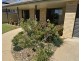 32 Tucklan Street, Dunedoo NSW 2844
