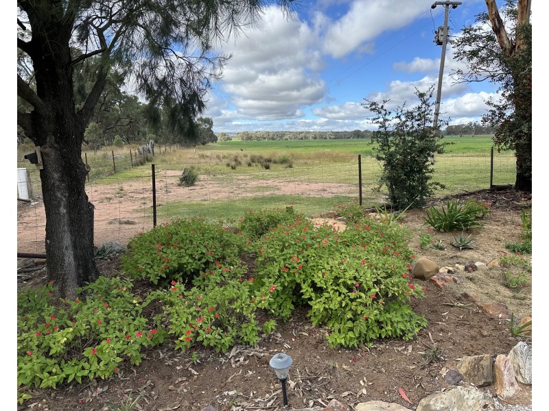 Bradview/1009 Warrumbungles Way, Coolah NSW 2843