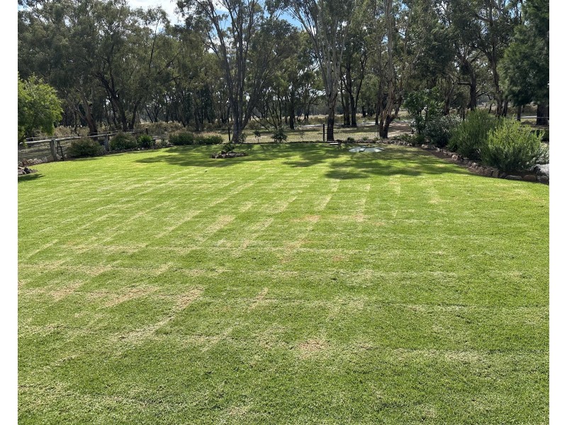 Bradview/1009 Warrumbungles Way, Coolah NSW 2843