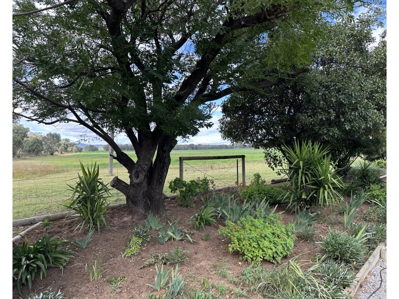 Bradview/1009 Warrumbungles Way, Coolah NSW 2843