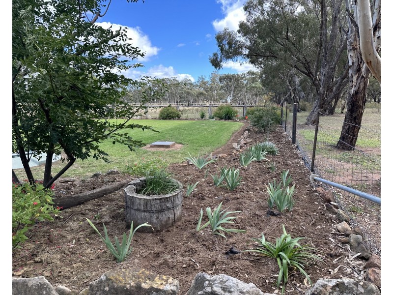 Bradview/1009 Warrumbungles Way, Coolah NSW 2843