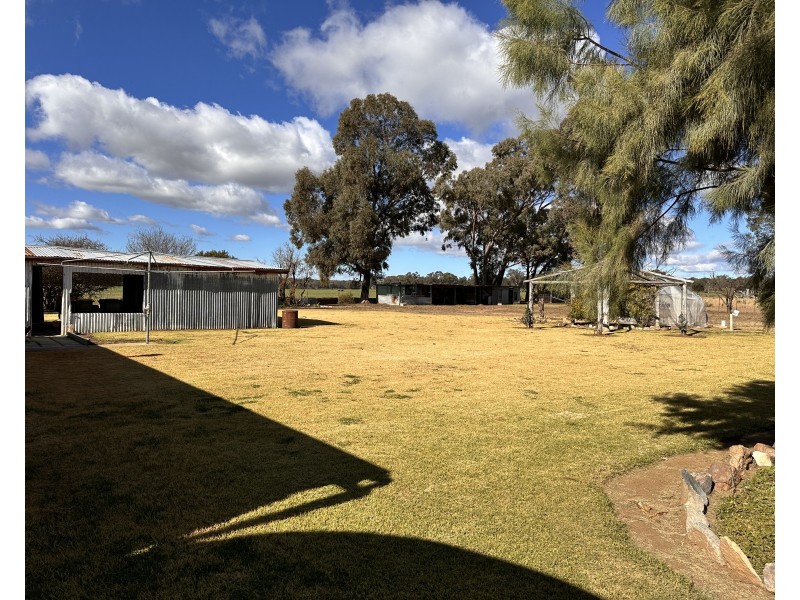 Bradview/1009 Warrumbungles Way, Coolah NSW 2843