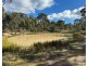 454 Cainbil Road, Coolah NSW 2843