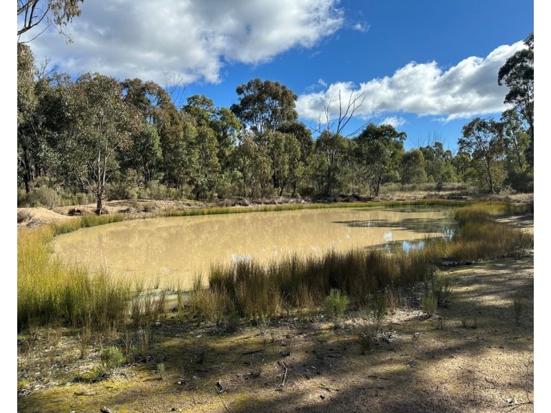454 Cainbil Road, Coolah NSW 2843
