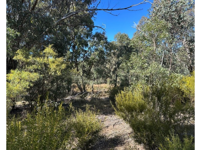 454 Cainbil Road, Coolah NSW 2843