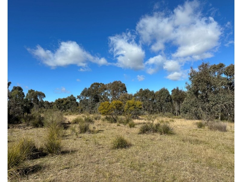 454 Cainbil Road, Coolah NSW 2843