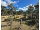 454 Cainbil Road, Coolah NSW 2843