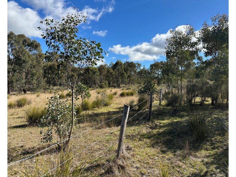 454 Cainbil Road, Coolah NSW 2843