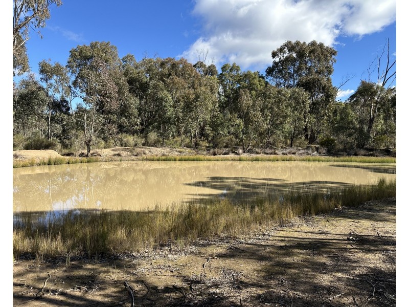 454 Cainbil Road, Coolah NSW 2843