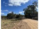 454 Cainbil Road, Coolah NSW 2843