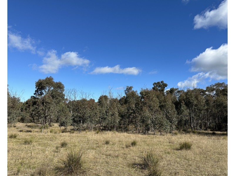 454 Cainbil Road, Coolah NSW 2843