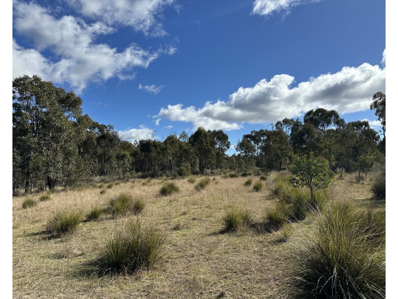 454 Cainbil Road, Coolah NSW 2843