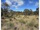 454 Cainbil Road, Coolah NSW 2843