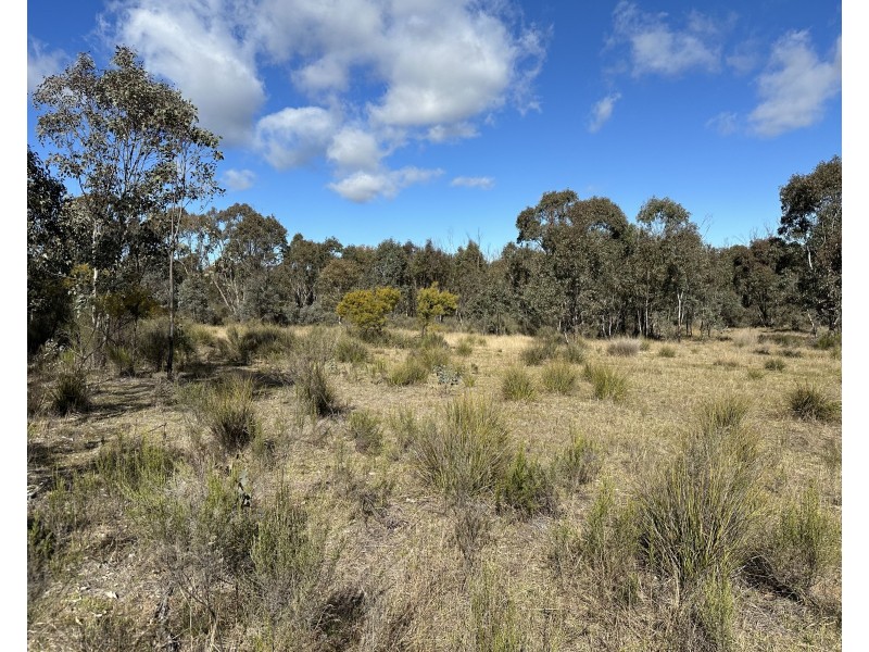 454 Cainbil Road, Coolah NSW 2843