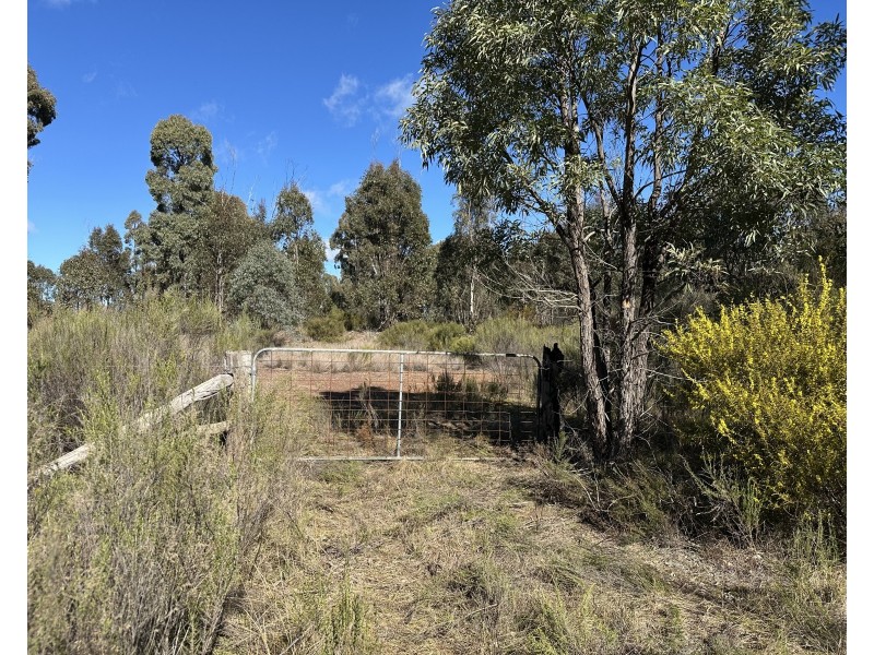 454 Cainbil Road, Coolah NSW 2843