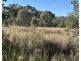 454 Cainbil Road, Coolah NSW 2843