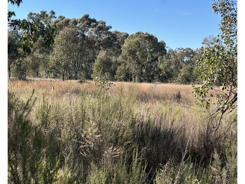 454 Cainbil Road, Coolah NSW 2843