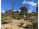 454 Cainbil Road, Coolah NSW 2843