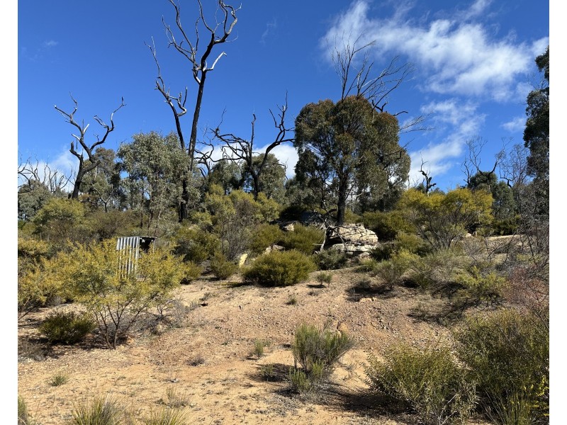 454 Cainbil Road, Coolah NSW 2843