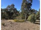 454 Cainbil Road, Coolah NSW 2843
