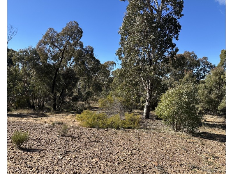 454 Cainbil Road, Coolah NSW 2843
